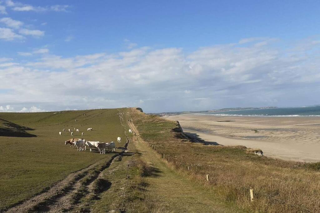 "La Cabane Du Sentier", Logement Original En Bois Et Sur Pilotis Avec Beau Jardin Et Tres Proche De La Mer Sangatte Eksteriør bilde